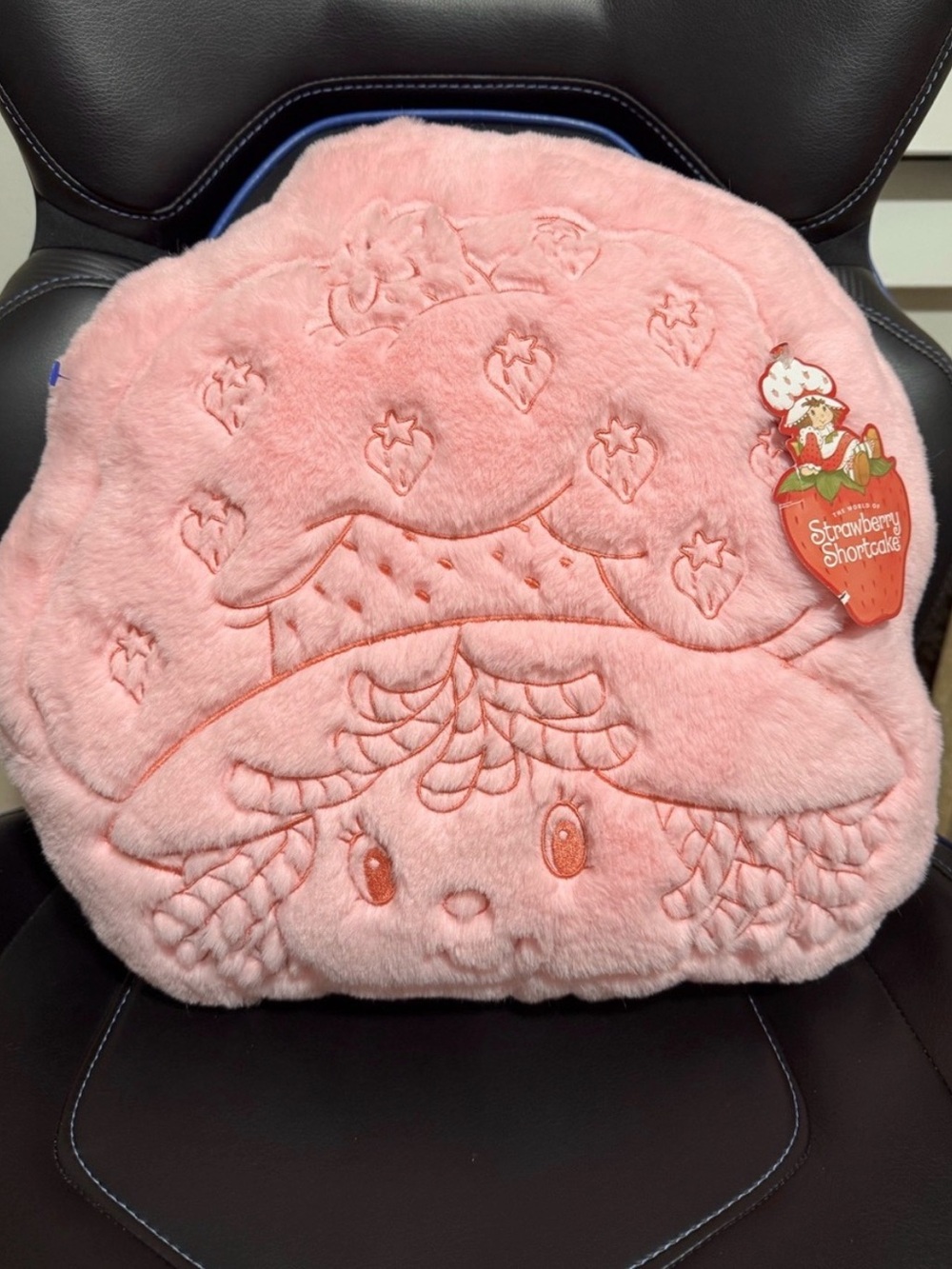 NWT Strawberry Shortcake Pink Sherpa Plush Embossed Accent Pillow⁠